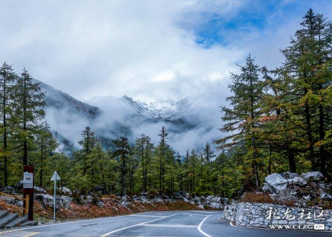 天然玛瑙手串多少钱一条?——分享最新热门话题的红迪网平台